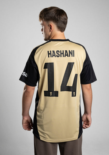 Offizielles Vice Versa FC Trikot 2026